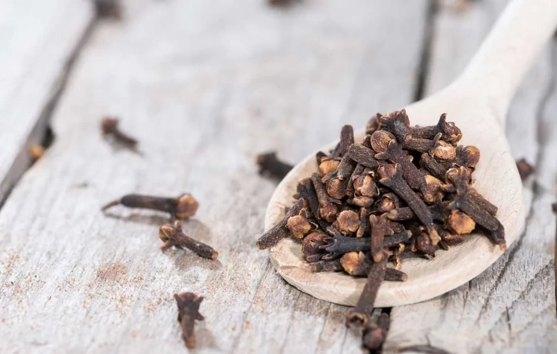 میخک؛یک گیاه معطر با ۴ فایده شگفت‌انگیز