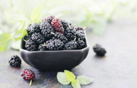 شاه‌توت: میوه‌ای تابستانی با قدرت ضدسرطانی و فواید بی‌شمار برای سلامتی