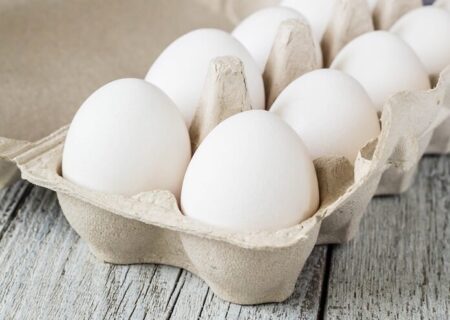 تخم‌مرغ را کجا نگهداری کنیم؟ راهنمای کامل نگهداری و ایمنی تخم‌مرغ