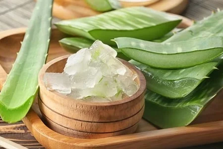 فواید شگفت‌انگیز آلوئه‌ورا برای سلامت بدن