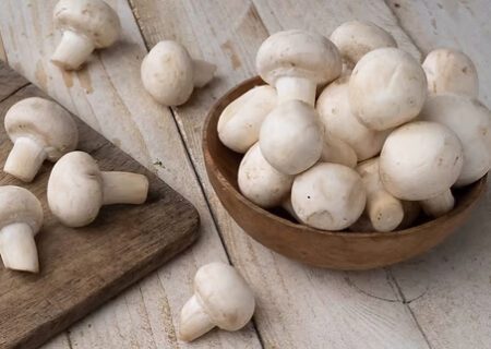 علائم مسمومیت با قارچ‌های سمی؛ هشدار اورژانس درباره خطر مصرف