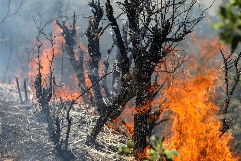 هشدار آتش‌سوزی در تهران؛ شماره امداد جنگل و مرتع ۱۵۰۴