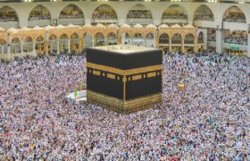 آخرین وضعیت سلامت زائران ایرانی در عربستان و آمار بستری‌ها